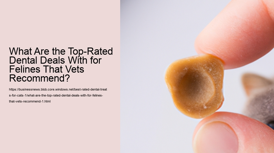 What Are the Top-Rated Dental Deals With for Felines That Vets Recommend?