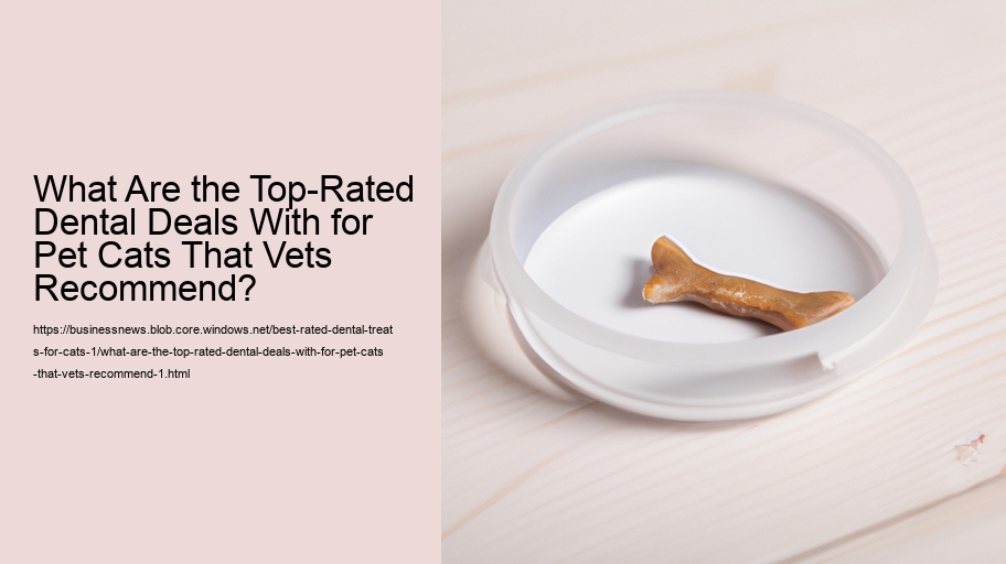 What Are the Top-Rated Dental Deals With for Pet Cats That Vets Recommend?