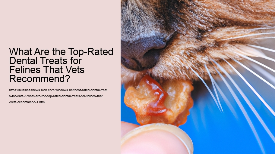 What Are the Top-Rated Dental Treats for Felines That Vets Recommend?