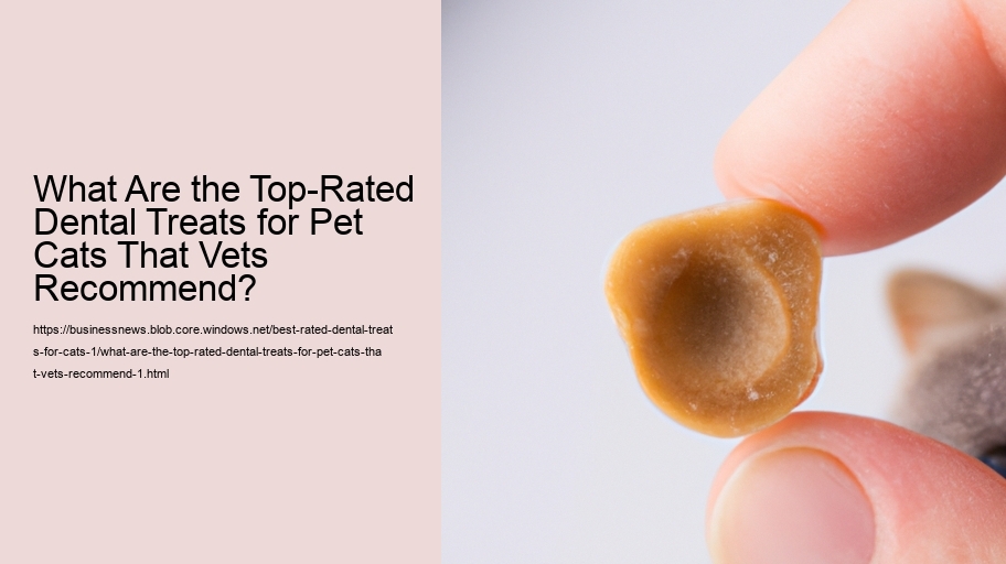 What Are the Top-Rated Dental Treats for Pet Cats That Vets Recommend?