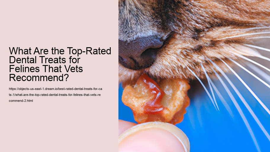What Are the Top-Rated Dental Treats for Felines That Vets Recommend?