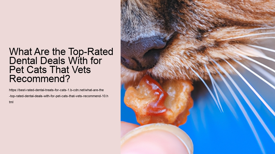 What Are the Top-Rated Dental Deals With for Pet Cats That Vets Recommend?