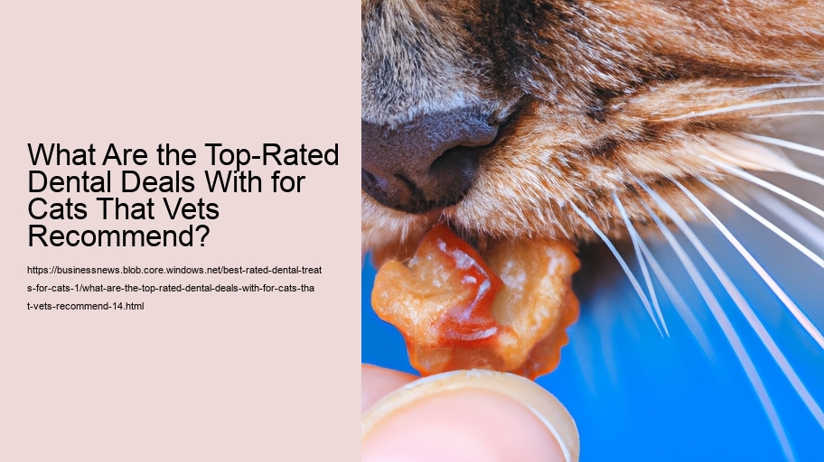 What Are the Top-Rated Dental Deals With for Cats That Vets Recommend?