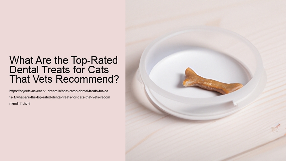 What Are the Top-Rated Dental Treats for Cats That Vets Recommend?