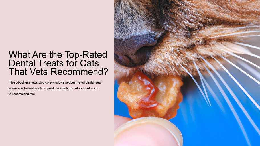 What Are the Top-Rated Dental Treats for Cats That Vets Recommend?